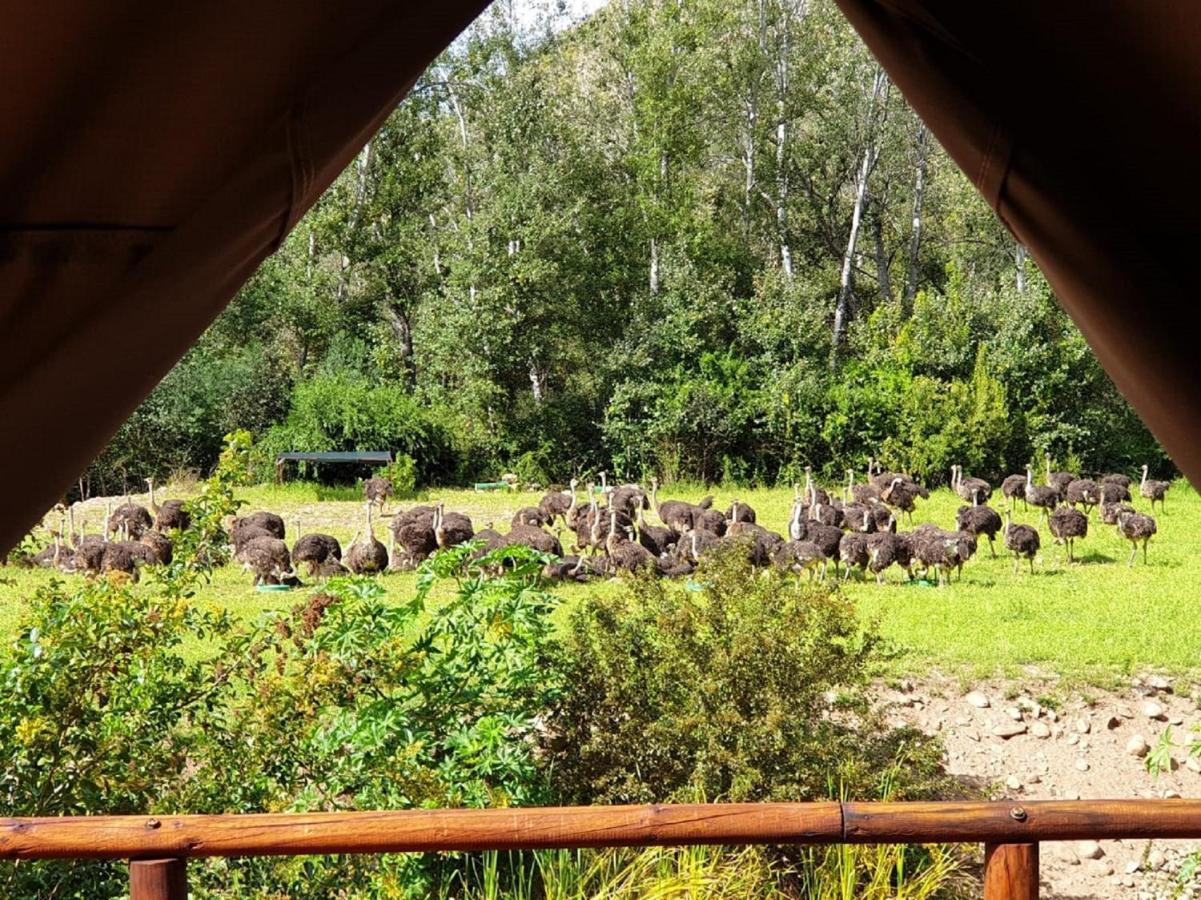 Old Mill Lodge, Seasonal Working Ostrich Farm & Restaurant, Oudtshoorn Exterior foto