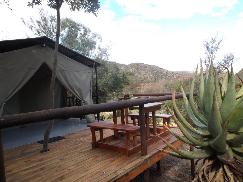 Old Mill Lodge, Seasonal Working Ostrich Farm & Restaurant, Oudtshoorn Quarto foto