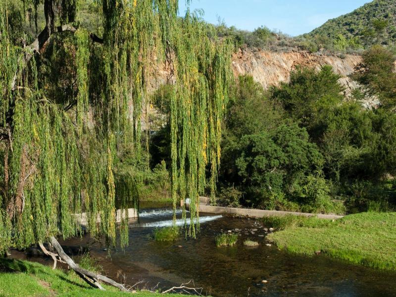 Old Mill Lodge, Seasonal Working Ostrich Farm & Restaurant, Oudtshoorn Exterior foto